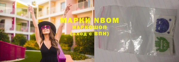 метадон Алексин