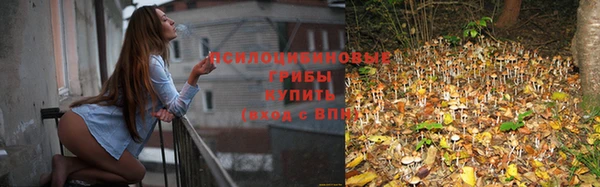 мяу мяу мука Алексеевка