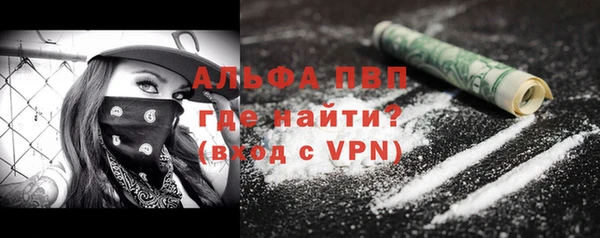 гашик Козловка