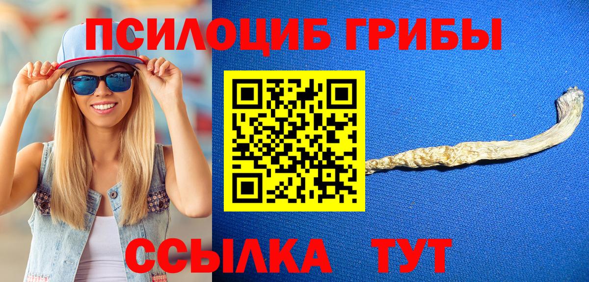 Ухта  Галлюциногенные грибы мицелий  Вход с VPN  Галлюциногенные грибы Psilocybe 