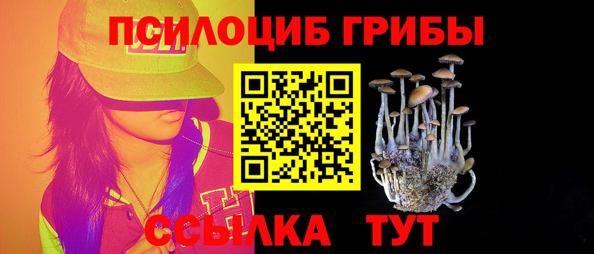 Галлюциногенные грибы Psilocybe Ухта